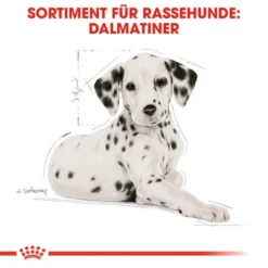 Royal Canin Dalmatian Puppy - Hundefutter 13 Royal Canin Dalmatian Puppy - Hundefutter -Günstiges Bellohaus Geschäft royal canin dalmatian puppy hondenvoer 138589 0500 none