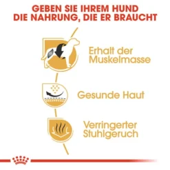 Royal Canin French Bulldog Adult - Hundefutter -Günstiges Bellohaus Geschäft royal canin french bulldog adult hondenvoer 138640 0500 none