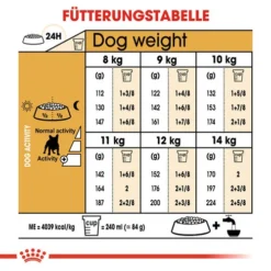 Royal Canin French Bulldog Adult - Hundefutter -Günstiges Bellohaus Geschäft royal canin french bulldog adult hondenvoer 138658 0500 none