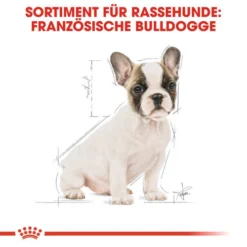 Royal Canin French Bulldog Puppy - Hundefutter -Günstiges Bellohaus Geschäft royal canin french bulldog puppy hondenvoer 138718 0500 none