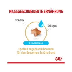 Royal Canin German Shepherd Adult 5+ -Günstiges Bellohaus Geschäft royal canin german shepherd adult 5 165106 0500 none