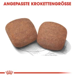 Royal Canin Giant Adult - Hundefutter 13 Royal Canin Giant Adult - Hundefutter -Günstiges Bellohaus Geschäft royal canin giant adult hondenvoer 128393 0500 none