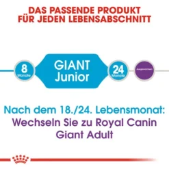 Royal Canin Giant Junior - Hundefutter -Günstiges Bellohaus Geschäft royal canin giant junior 118197 0500 none