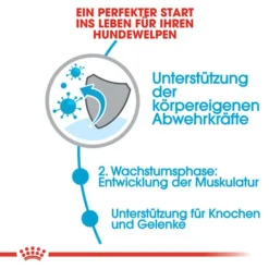 Royal Canin Giant Junior - Hundefutter -Günstiges Bellohaus Geschäft royal canin giant junior 118221 0500 none