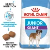 Royal Canin Giant Junior - Hundefutter 1 Royal Canin Giant Junior - Hundefutter -Günstiges Bellohaus Geschäft royal canin giant junior 118386 0500 none