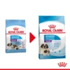 Royal Canin Giant Starter Mother & Babydog - Hundefutter -Günstiges Bellohaus Geschäft royal canin giant starter mother babydog hondenvoer 206699 0500 none
