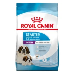 Royal Canin Giant Starter Mother & Babydog - Hundefutter -Günstiges Bellohaus Geschäft royal canin giant starter mother babydog hondenvoer 206726 0500 none