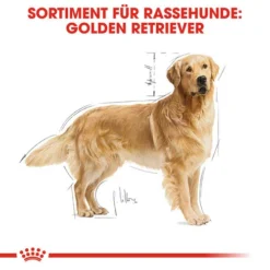 Royal Canin Golden Retriever Adult - Hundefutter 12 Royal Canin Golden Retriever Adult - Hundefutter -Günstiges Bellohaus Geschäft royal canin golden retriever adult hondenvoer 138871 0500 none