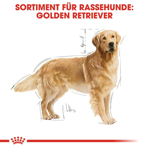 Royal Canin Golden Retriever Adult - Hundefutter 6 Royal Canin Golden Retriever Adult - Hundefutter - Image 4