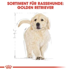 Royal Canin Golden Retriever Puppy - Hundefutter -Günstiges Bellohaus Geschäft royal canin golden retriever puppy hondenvoer 138958 0500 none