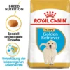 Royal Canin Golden Retriever Puppy - Hundefutter -Günstiges Bellohaus Geschäft royal canin golden retriever puppy hondenvoer 140579 0500 none