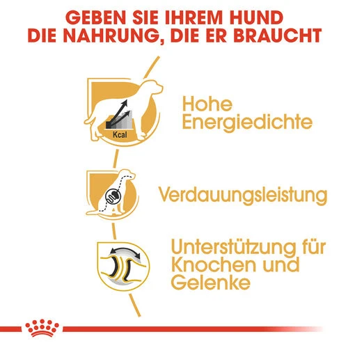 Royal Canin Great Dane Adult - Hundefutter 4 Royal Canin Great Dane Adult - Hundefutter - Image 2