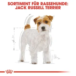 Royal Canin Jack Russell Terrier Adult - Hundefutter -Günstiges Bellohaus Geschäft royal canin jack russell terrier adult hondenvoer 139060 0500 none