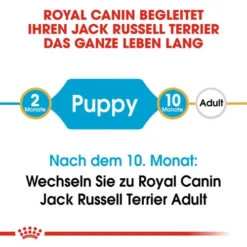 Royal Canin Jack Russell Terrier Puppy - Hundefutter -Günstiges Bellohaus Geschäft royal canin jack russell terrier puppy hondenvoer 139291 0500 none