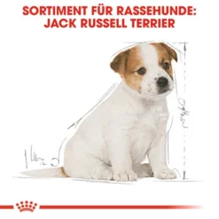 Royal Canin Jack Russell Terrier Puppy - Hundefutter -Günstiges Bellohaus Geschäft royal canin jack russell terrier puppy hondenvoer 139318 0500 none