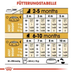 Royal Canin Jack Russell Terrier Puppy - Hundefutter -Günstiges Bellohaus Geschäft royal canin jack russell terrier puppy hondenvoer 139327 0500 none