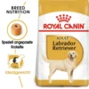 Royal Canin Labrador Retriever Adult - Hundefutter