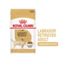 Royal Canin Labrador Retriever Adult Wet -Günstiges Bellohaus Geschäft royal canin labrador retriever adult wet 165814 0500 none