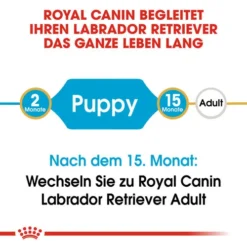 Royal Canin Labrador Retriever Puppy - Hundefutter 14 Royal Canin Labrador Retriever Puppy - Hundefutter -Günstiges Bellohaus Geschäft royal canin labrador retriever puppy hondenvoer 139411 0500 none