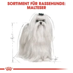 Royal Canin Maltese Adult - Hundefutter 12 Royal Canin Maltese Adult - Hundefutter -Günstiges Bellohaus Geschäft royal canin maltese adult hondenvoer 139570 0500 none