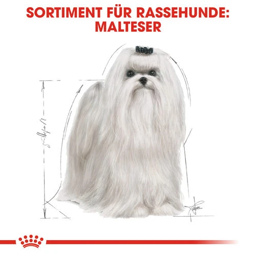 Royal Canin Maltese Adult - Hundefutter 6 Royal Canin Maltese Adult - Hundefutter - Image 4