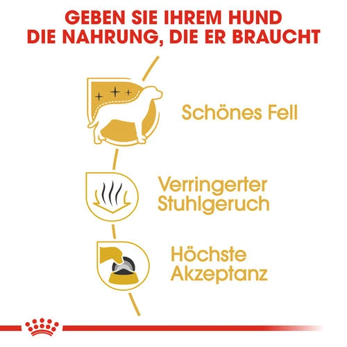 Royal Canin Maltese Adult - Hundefutter 4 Royal Canin Maltese Adult - Hundefutter - Image 2