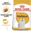 Royal Canin Maltese Adult - Hundefutter -Günstiges Bellohaus Geschäft royal canin maltese adult hondenvoer 139624 0500 none