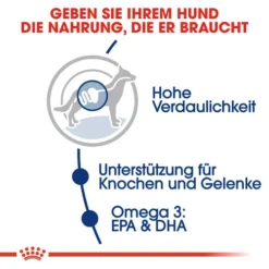 Royal Canin Maxi Adult - Hundefutter 12 Royal Canin Maxi Adult - Hundefutter -Günstiges Bellohaus Geschäft royal canin maxi adult hondenvoer 128432 0500 none