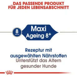 Royal Canin Maxi Ageing 8+ - Hundefutter 13 Royal Canin Maxi Ageing 8+ - Hundefutter -Günstiges Bellohaus Geschäft royal canin maxi ageing 8 hondenvoer 128699 0500 none