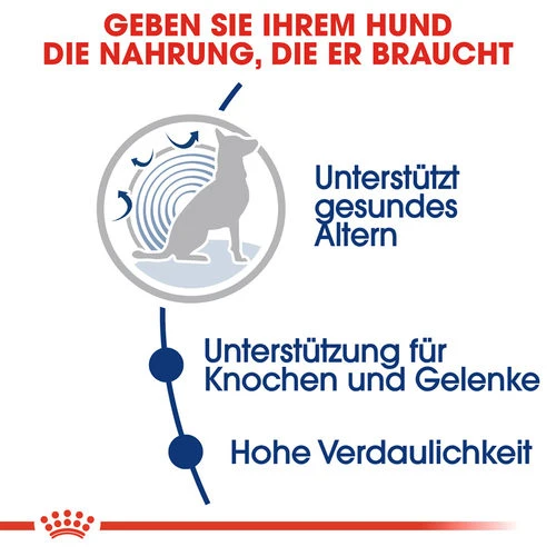 Royal Canin Maxi Ageing 8+ - Hundefutter 5 Royal Canin Maxi Ageing 8+ - Hundefutter - Image 3