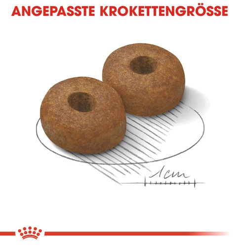 Royal Canin Maxi Ageing 8+ - Hundefutter 7 Royal Canin Maxi Ageing 8+ - Hundefutter - Image 5