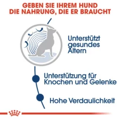 Royal Canin Maxi Ageing 8+ Wet - Hundefutter -Günstiges Bellohaus Geschäft royal canin maxi ageing 8 wet hondenvoer 129092 0500 none