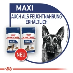 Royal Canin Maxi Ageing 8+ Wet - Hundefutter -Günstiges Bellohaus Geschäft royal canin maxi ageing 8 wet hondenvoer 129116 0500 none