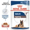Royal Canin Maxi Ageing 8+ Wet - Hundefutter