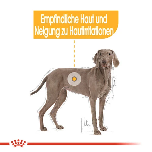 Royal Canin Maxi Dermacomfort - Hundefutter 5 Royal Canin Maxi Dermacomfort - Hundefutter - Image 3