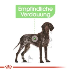 Royal Canin Maxi Digestive Care - Hundefutter -Günstiges Bellohaus Geschäft royal canin maxi digestive care hondenvoer 132482 0500 none