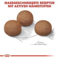 Royal Canin Maxi Digestive Care - Hundefutter -Günstiges Bellohaus Geschäft royal canin maxi digestive care hondenvoer 132494 0500 none