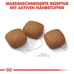 Royal Canin Maxi Joint Care - Hundefutter -Günstiges Bellohaus Geschäft royal canin maxi joint care hondenvoer 132551 0500 none