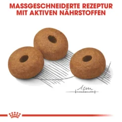 Royal Canin Maxi Light Weight Care - Hundefutter -Günstiges Bellohaus Geschäft royal canin maxi light weight care hondenvoer 132617 0500 none