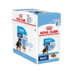Royal Canin Maxi Puppy Wet - Welpenfutter -Günstiges Bellohaus Geschäft royal canin maxi puppy wet 122105 0500 none