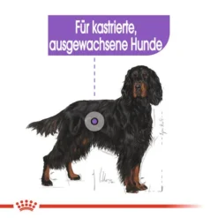 Royal Canin Maxi Sterilised - Hundefutter -Günstiges Bellohaus Geschäft royal canin maxi sterilised hondenvoer 132662 0500 none