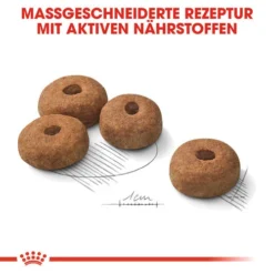Royal Canin Maxi Sterilised - Hundefutter -Günstiges Bellohaus Geschäft royal canin maxi sterilised hondenvoer 132680 0500 none