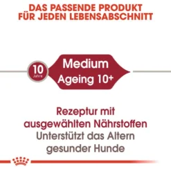 Royal Canin Medium Ageing 10+ Wet - Hundefutter -Günstiges Bellohaus Geschäft royal canin medium ageing 10 wet hondenvoer 129191 0500 none