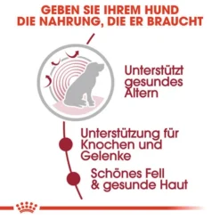 Royal Canin Medium Ageing 10+ Wet - Hundefutter -Günstiges Bellohaus Geschäft royal canin medium ageing 10 wet hondenvoer 129197 0500 none