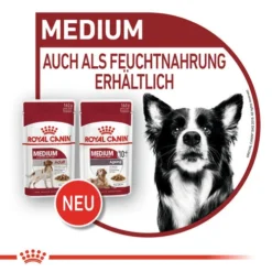 Royal Canin Medium Ageing 10+ Wet - Hundefutter -Günstiges Bellohaus Geschäft royal canin medium ageing 10 wet hondenvoer 129239 0500 none