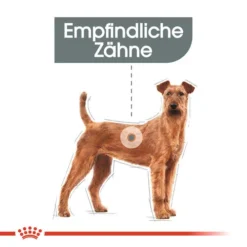 Royal Canin Medium Dental Care - Hundefutter 13 Royal Canin Medium Dental Care - Hundefutter -Günstiges Bellohaus Geschäft royal canin medium dental care hondenvoer 130922 0500 none