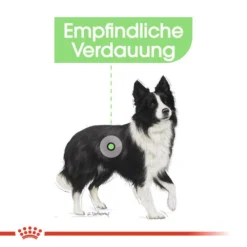 Royal Canin Medium Digestive Care - Hundefutter -Günstiges Bellohaus Geschäft royal canin medium digestive care hondenvoer 132788 0500 none
