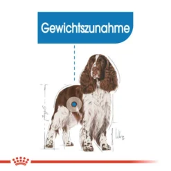 Royal Canin Medium Light Weight Care - Hundefutter -Günstiges Bellohaus Geschäft royal canin medium light weight care hondenvoer 132851 0500 none