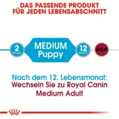 Royal Canin Medium Puppy Wet -Günstiges Bellohaus Geschäft royal canin medium puppy wet 129245 0500 none