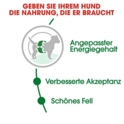 Royal Canin Mini Adult - Hundefutter -Günstiges Bellohaus Geschäft royal canin mini adult hondenvoer 128648 0500 none